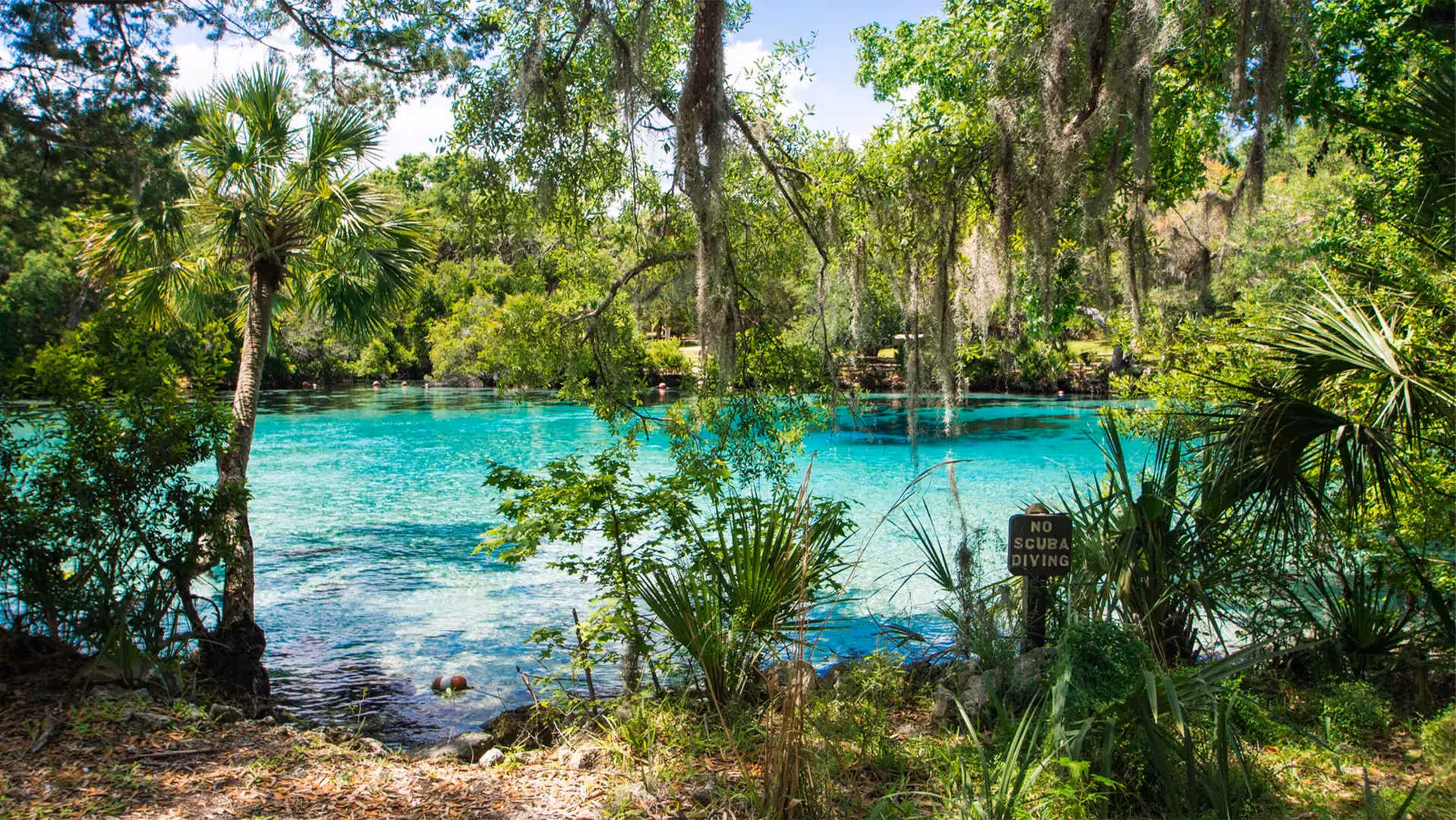 long-term RV stays Silver Springs FL campground, pet‑friendly campground Silver Springs, Contact Hero, RV site rates Silver S